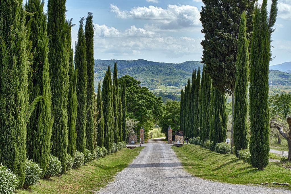 Il Convento Di Monte Pozzali Villa Massa Marittima Exterior foto